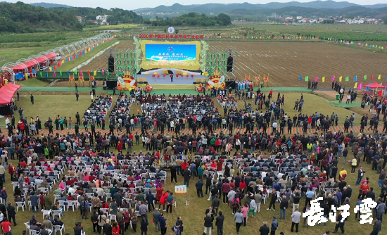 　　9月21日，咸寧市咸安區(qū)高橋蘿卜小鎮(zhèn)百畝草地上舉行了“慶豐收·迎小康”第三屆中國農(nóng)民豐收節(jié)湖北分會場咸寧主會場慶?；顒?，全市各界農(nóng)民代表相聚白水畈的美麗田野，分享豐收的喜悅，慶祝屬于自己的節(jié)日。  　　開幕式上舉行了精彩的文藝演出，演出在舞蹈《慶豐收》中拉開序幕，歌舞《錦繡小康》呈現(xiàn)出咸寧各地欣欣向榮、脫貧致富奔小康的幸福場景。網(wǎng)紅歌曲《你莫走》、舞蹈《慶豐收》、歌舞《一起幸福》，一個個精彩的節(jié)目輪番上演，博得現(xiàn)場觀眾陣陣掌聲。  　　開幕活動現(xiàn)場還舉行了頒獎儀式，第二屆“美麗中國、鄉(xiāng)村振興”全國農(nóng)民詩歌邀請賽獲獎組織和個人，全市農(nóng)村人居環(huán)境整治示范村，省級農(nóng)業(yè)產(chǎn)業(yè)化工作先進集體和先進個人上臺領(lǐng)獎?，F(xiàn)場還舉行了鄂南民俗展演、農(nóng)民趣味運動會、扶貧農(nóng)產(chǎn)品以及咸寧特色農(nóng)產(chǎn)品展銷等豐富多彩的活動?；鸨娜藲猓屧趫龅恼逛N商賺得是盆滿缽滿。  　　咸寧市咸安區(qū)鑫達(dá)種養(yǎng)專業(yè)合作社理事長萬永輝：今年家里的香菇都豐收了，一上午我就賣出了一萬多元，我們合作社采取的是“合作社+農(nóng)戶”的模式，也帶領(lǐng)了20多戶貧困戶脫貧了。  　　咸寧市致遠(yuǎn)種植專業(yè)合作社理事長 吳海兵:我們今年是真真正正地豐收了，我們生姜的價格足足翻了三倍，跟著我們一起的貧困戶也平均增收了3000元左右。  　　而這一系列的活動，都是在蘿卜小鎮(zhèn)的草地上進行的，草地作舞臺、草地搞展示、草地上比賽等等，這數(shù)百畝草地，此時此刻成為了咸寧農(nóng)民們慶祝豐收的歡樂場。  　　咸寧市咸安區(qū)高橋鎮(zhèn)黨委書記王順榮：今年的湖北分會場在我們高橋蘿卜小鎮(zhèn)舉辦，我感到很榮幸，我們從一顆蘿卜做起，以白水畈蘿卜為核心品牌，打造白水畈"我家菜園"蔬菜基地及旅游觀光體驗中心，發(fā)展綠色農(nóng)業(yè)、生態(tài)旅游，增加產(chǎn)業(yè)開發(fā)的綜合效益，創(chuàng)建蘿卜特色小鎮(zhèn)，走出了一條農(nóng)業(yè)、旅游相結(jié)合的新路，推動高橋鎮(zhèn)一二三產(chǎn)業(yè)融合發(fā)展。  　　鄉(xiāng)親們說，這在以前是想都不敢想的，高橋鎮(zhèn)蝸居山里，太偏遠(yuǎn)又沒有資源優(yōu)勢，想發(fā)展太難。而現(xiàn)在這一切的悄然改變，得益于2017年10月13日，咸安區(qū)政府與鄂旅投公司正式簽署的《131軍旅小鎮(zhèn)+白水畈田園綜合體旅游開發(fā)投資合作協(xié)議》，鄂旅投公司將投資30億元，在高橋鎮(zhèn)打造131軍旅小鎮(zhèn)和白水畈田園綜合體旅游開發(fā)項目。項目共分為131軍旅小鎮(zhèn)、白水畈美麗鄉(xiāng)村、特色農(nóng)業(yè)示范、旅游綜合體四大板塊，打造旅游綜合服務(wù)區(qū)、澄水洞軍事展示區(qū)、青少年國防教育基地、鐵血軍事樂園區(qū)、戰(zhàn)狼訓(xùn)練基地、美麗村灣民俗區(qū)、四季瓜果示范區(qū)、農(nóng)耕文化展示區(qū)、特色商業(yè)街區(qū)和康養(yǎng)度假區(qū)十大功能區(qū)。  　　咸寧市咸安區(qū)高橋鎮(zhèn)黨委書記王順榮：我們引進鄂旅投，打造蘿卜小鎮(zhèn)，目前建設(shè)有蘿卜小鎮(zhèn)科普館、蘿卜鄉(xiāng)學(xué)院、蘿卜酒店等休閑旅游項目，十一馬上到了，也歡迎廣大游客前來游玩。  　　今年是決勝全面建成小康社會、決戰(zhàn)脫貧攻堅之年。咸寧市本著"儉樸、祥和、歡樂，農(nóng)民參與，農(nóng)民唱主角"的辦節(jié)思路，而此屆中國農(nóng)民豐收節(jié)辦節(jié)費用也是倍減。  　　農(nóng)為邦本，本固邦寧。今年，面對重大疫情和特大洪澇災(zāi)害，咸寧市扎實做好“六穩(wěn)”工作、落實“六保”任務(wù)，克服重重困難，推動農(nóng)業(yè)實現(xiàn)持續(xù)平穩(wěn)發(fā)展，形成了茶葉、油茶、中藥材等12個特色農(nóng)業(yè)主導(dǎo)產(chǎn)業(yè)，“全國一村一品示范村鎮(zhèn)”發(fā)展到14家，國家級、省級農(nóng)業(yè)產(chǎn)業(yè)化龍頭企業(yè)達(dá)到55家。尤其是糧食產(chǎn)量預(yù)計達(dá)118萬噸、蔬菜產(chǎn)量預(yù)計達(dá)260萬噸，生豬預(yù)計出欄183.52萬頭，農(nóng)業(yè)生產(chǎn)再獲豐收，糧食安全有效保障，讓農(nóng)民的腰包更鼓、家園更美、生活更甜，為加快實施鄉(xiāng)村振興戰(zhàn)略、推動咸寧高質(zhì)量發(fā)展提供堅實保障。